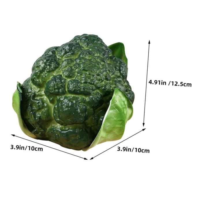Realistic Artificial Broccoli Heads - Set of 2 Lifelike Faux Vegetable Decor for Home, Kitchen Display, Photography Props, and Educational Use