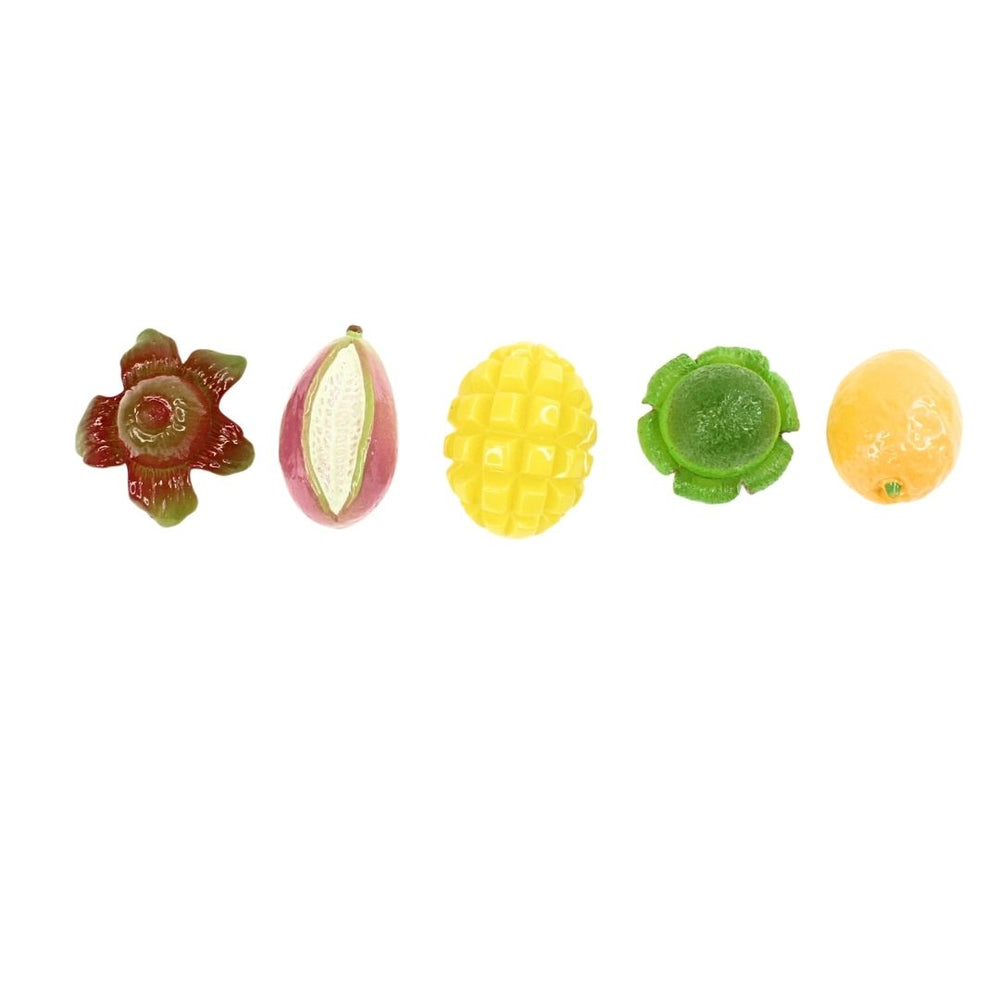 Wonderland Exotic Fruit Mix Resin Miniatures | 5pc Set for Crafting, Slime, & Decor | Doll House Accessories| mini fake food miniatures use for craft, education purpose, paper weight and gifting