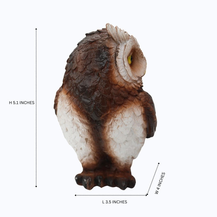 Wonderland Wise Gaze Owl Garden Statue