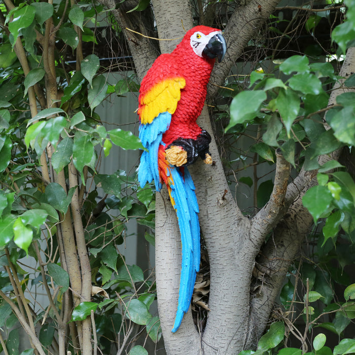 Red Parrot to be put on wall for home and Garden decoration