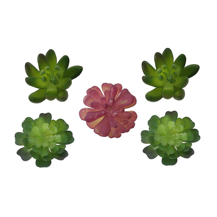 (5 Pieces) Artificial Succulent Plants