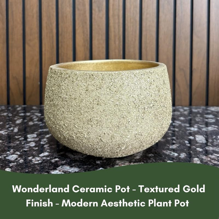 Terracotta Pot - Textured Gold Bowl - Modern Aesthetic Planter - For Indoor/Outdoor Decor, For Plants, Flowers, And Herbs (Gold)