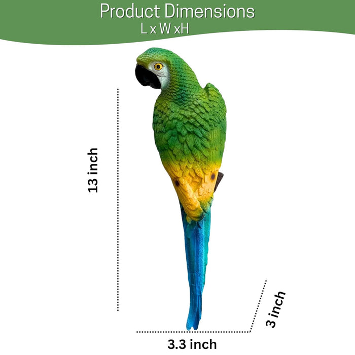 Wonderland parrot statue For Garden Décor|Outdoor Décor For Garden, Yard, Lawn , Patio| Gifting Purpose| Balcony Decoration