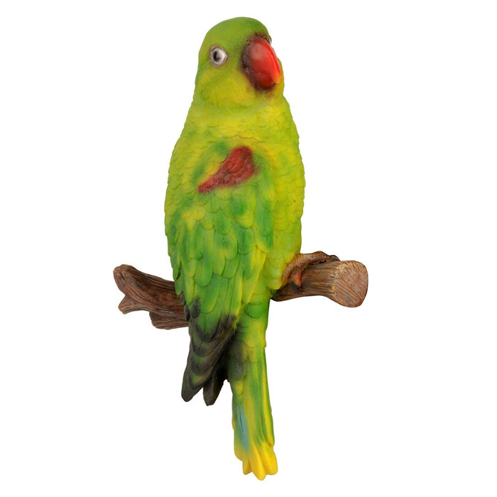 wall Parrot for home or garden decor