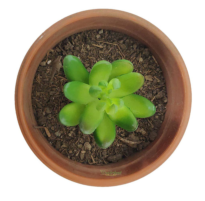 (5 Pieces) Artificial Succulent Plants
