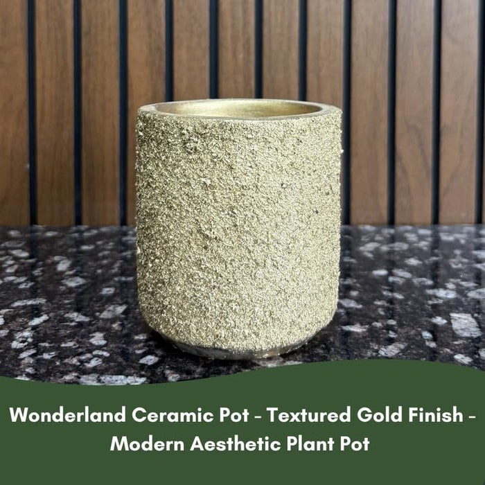 Terracotta Pot - Textured Finish  Plant Pot - For Indoor/Outdoor Décor (Gold)