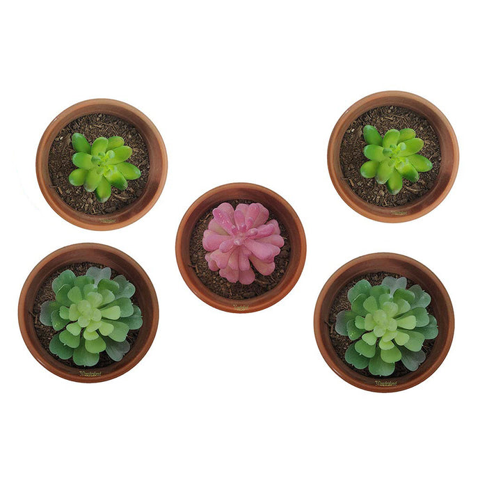 (5 Pieces) Artificial Succulent Plants