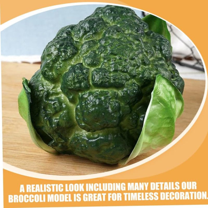 Realistic Artificial Broccoli Heads - Set of 2 Lifelike Faux Vegetable Decor for Home, Kitchen Display, Photography Props, and Educational Use