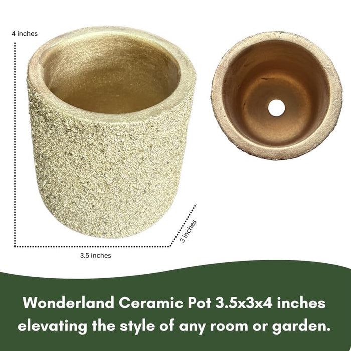 Terracotta Pot - Textured Finish  Plant Pot - For Indoor/Outdoor Décor (Gold)