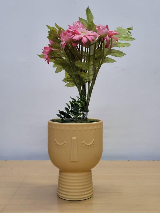 Ceramic Face Planter Pot with Pedestal Base for Indoor Decor