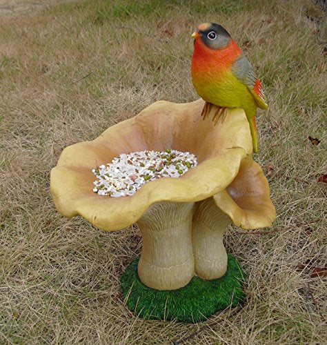 Bird Feeder, Bird Bath for  Decor, Balcony Decoration