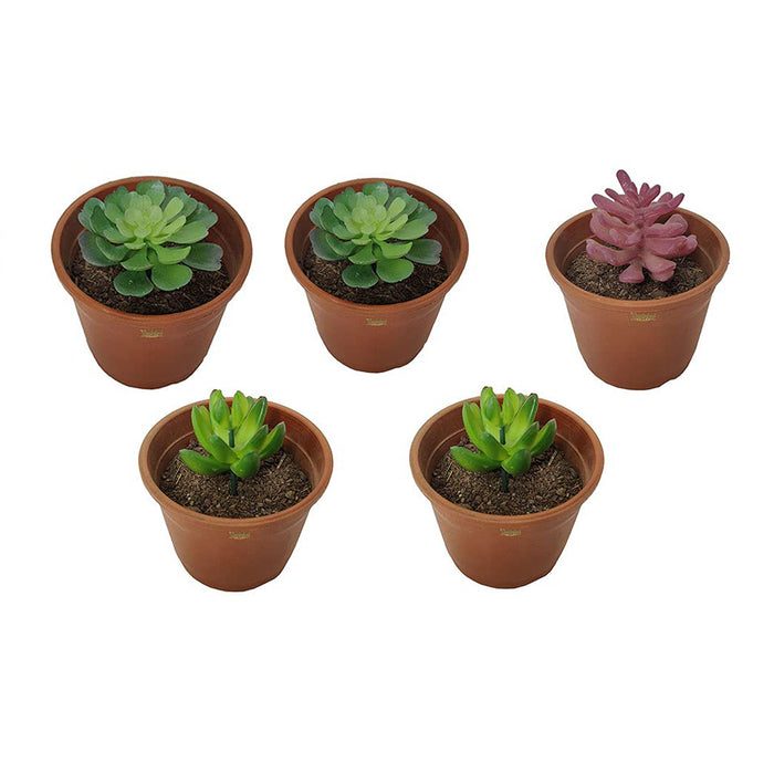 (5 Pieces) Artificial Succulent Plants
