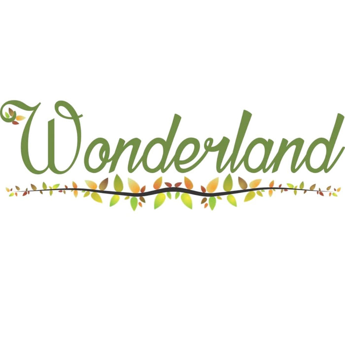 Wonderland 3.1 inch  Brass Diya|Oil Lamp with Meenakari Leaf Design