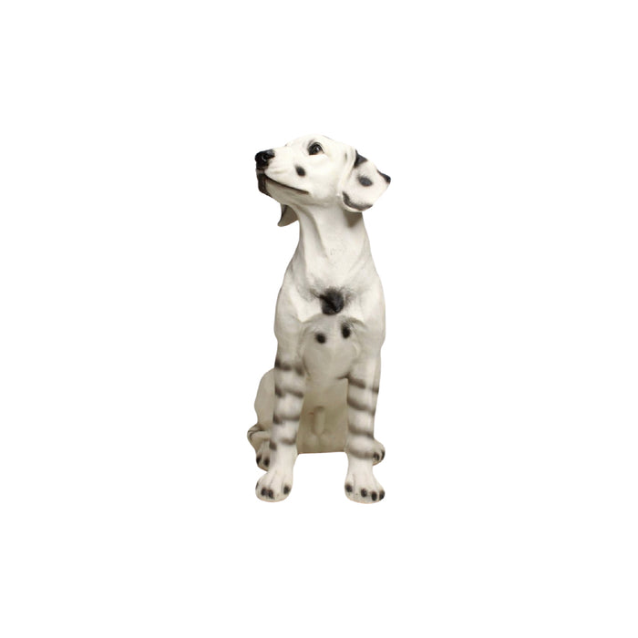 Wonderland Dalmation Puppy |Hand-painted dog figurine| entance décor|Weather-resistant dog statue