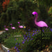 "A set of four pink plastic flamingo solar garden lights with black metal stakes standing in a lush green garden with rocks and white flowers."