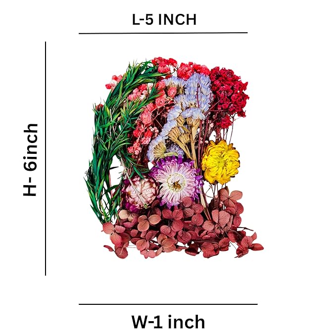 Wonderland Dried Flowers for Resin, 6 pc Natural Flowers and Leaves Compressed,DIY Pressed Flowers for Jewelry, Candles, Soap, Nail Production