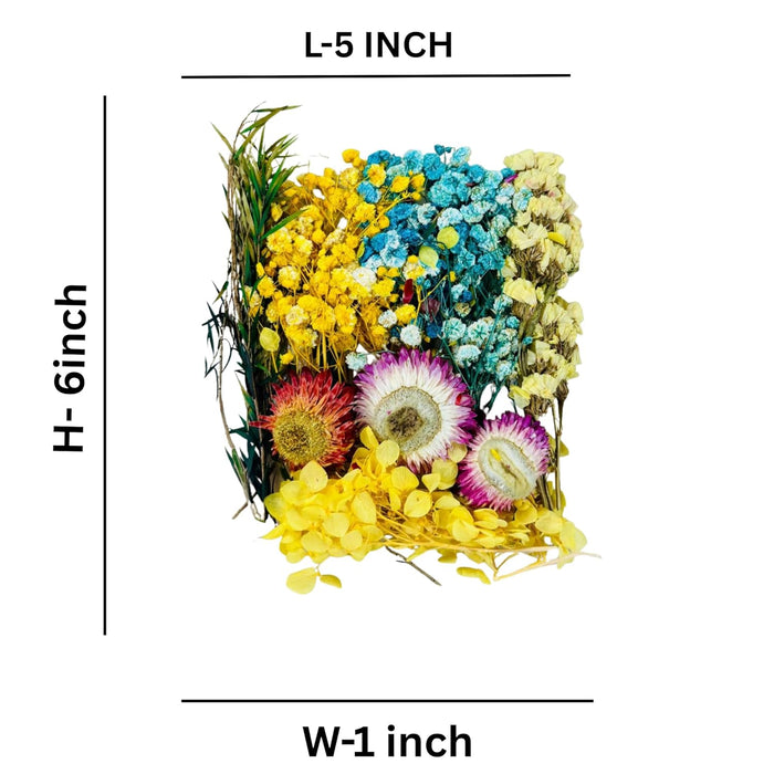 Wonderland Dried Flowers for Resin, 6 pc Natural Flowers and Leaves Compressed,DIY Pressed Flowers for Jewelry, Candles, Soap, Nail Production