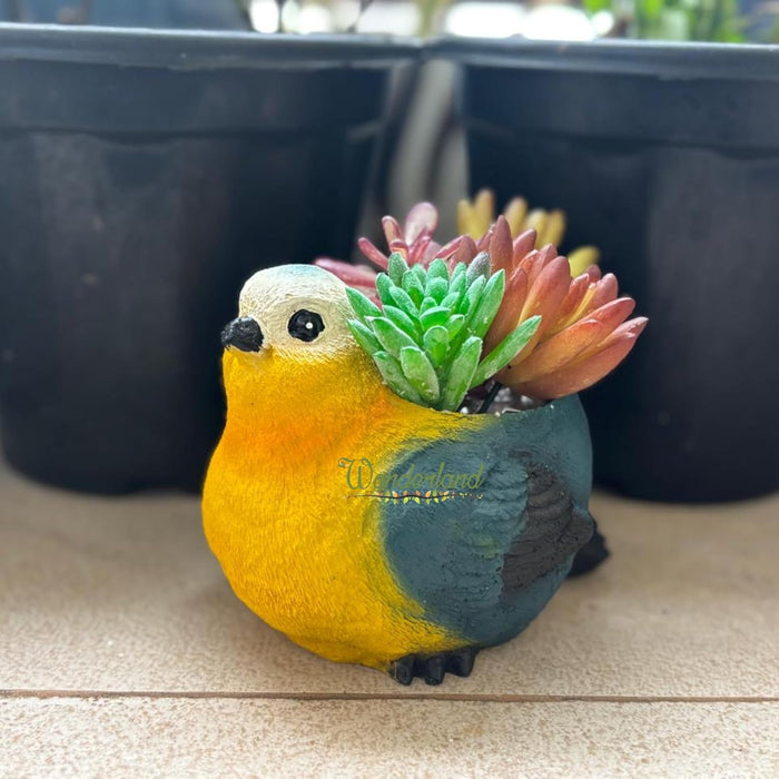 3.2 Inch Whimsical Hand-Painted Bird Succulent Planter – Decorative Resin Bird Pot for Indoor Plants, Cactus, and Office Decor- Plant Not Included