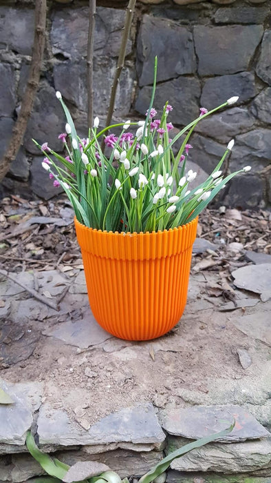 Wonderland (Set of 4 Orange Fresh Plastic Garden Pot