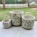 Terracotta Set of 3 planter- small , big medium