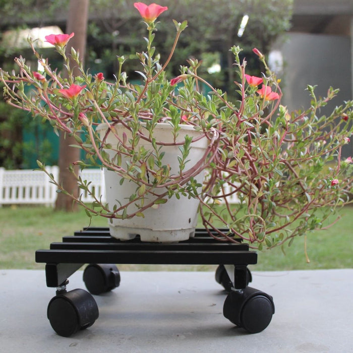 Wonderland Heavy Duty Adjustable Plant Caddy with Wheels | Mobile Plant Stand Trolley for Indoor & Outdoor Use | Flower Pot Mover and Floor Protector