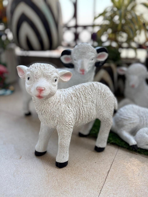 A realistic white lamb garden statue with textured wool and black hooves, standing on a grey surface.