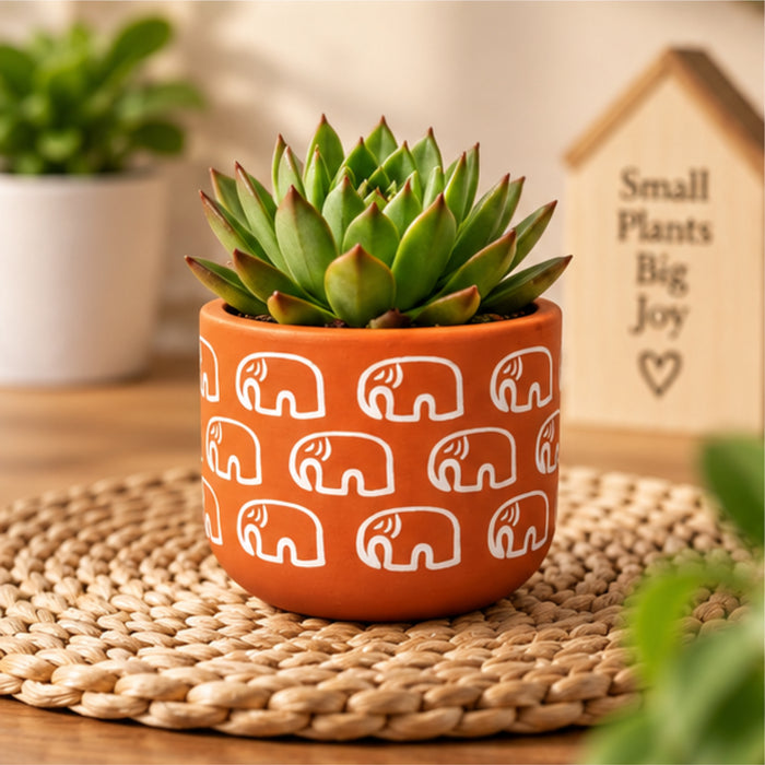 4-Inch Hand-Painted Terracotta Elephant Planter – Small  Round Clay Pot for Succulents and Cacti – Rustic Indoor Garden Decor