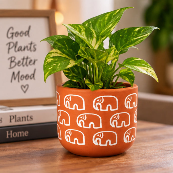 4-Inch Hand-Painted Terracotta Elephant Planter – Small  Round Clay Pot for Succulents and Cacti – Rustic Indoor Garden Decor