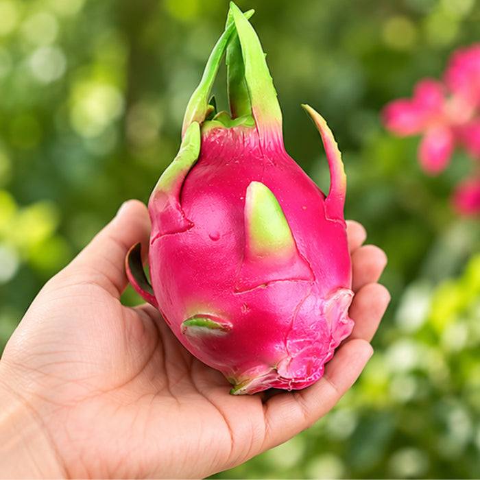 Wonderland Artificial Dragonfruit Decoration | Set of 2 | Imitation Fruit Decor | Synthetic Fruit | Lifelike Realistic Decorative Fruit | Kitchen Ornamentation | Faux Fruit Bowl Accessories