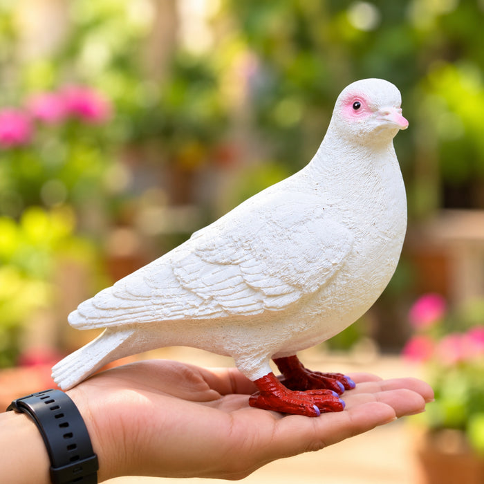 Realistic White Pigeon Garden Statue
