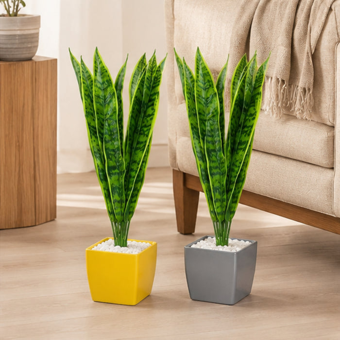 Artificial Set of 2 Sansevieria Plant with Variegated Green Leaves (without pot)