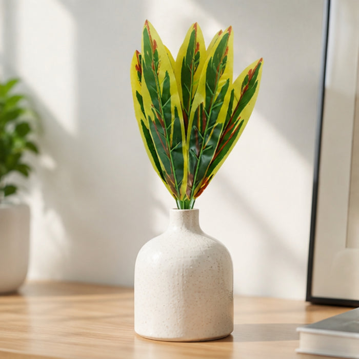 Air-Purifying Snake Plant - Striking Vertical - pot is not included