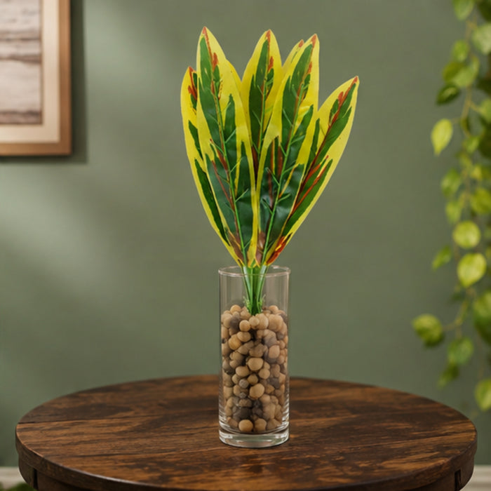 Air-Purifying Snake Plant - Striking Vertical - pot is not included