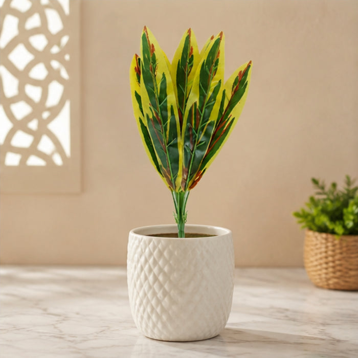 Air-Purifying Snake Plant - Striking Vertical - pot is not included