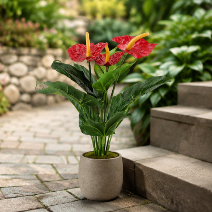 Realistic Artificial Anthurium Plant- Red Flowers with Lush Green Foliage (Pot not included)