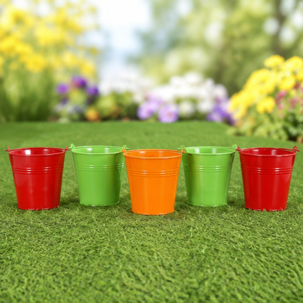 (Set of 5) Small Bucket Pot for Home and Decoration