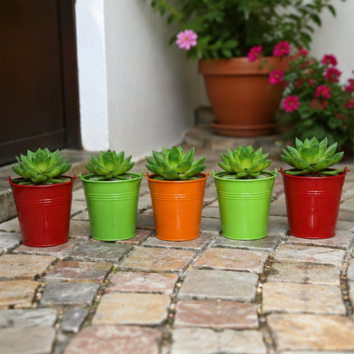 (Set of 5) Small Bucket Pot for Home and Decoration