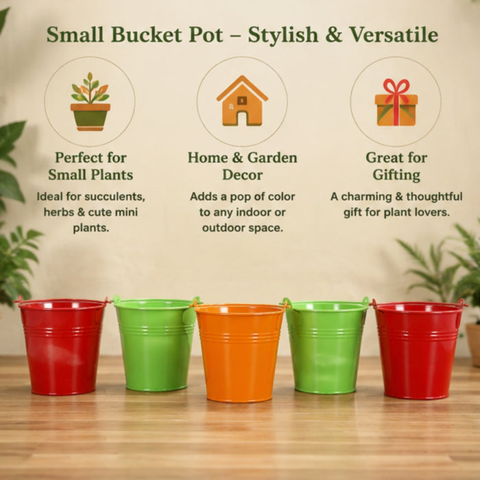 (Set of 5) Small Bucket Pot for Home and Decoration
