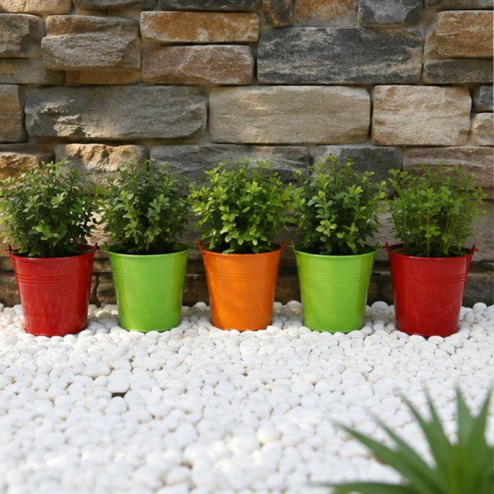(Set of 5) Small Bucket Pot for Home and Decoration
