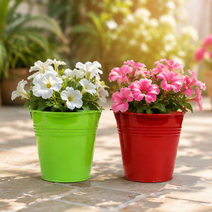 (Set of 5) Small Bucket Pot for Home and Decoration