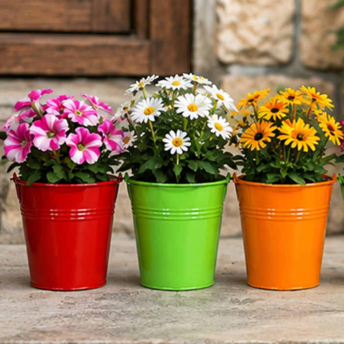 (Set of 5) Small Bucket Pot for Home and Decoration