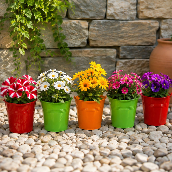 (Set of 5) Small Bucket Pot for Home and Decoration