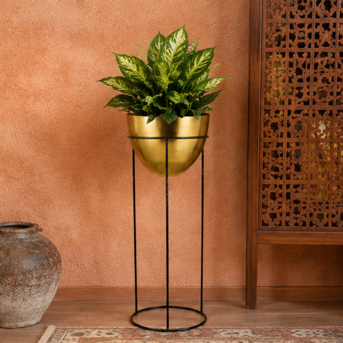Single Gold Bowl Shape Planter with Black stand