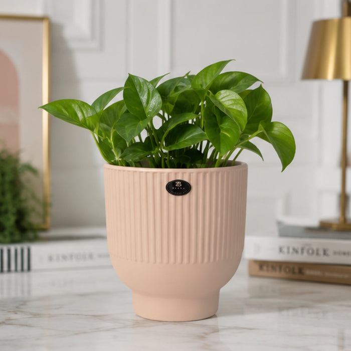 Pink  fluted ceramic pots for real plants