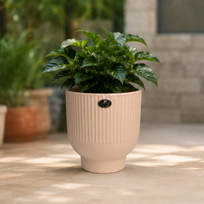 Pink  fluted ceramic pots for real plants