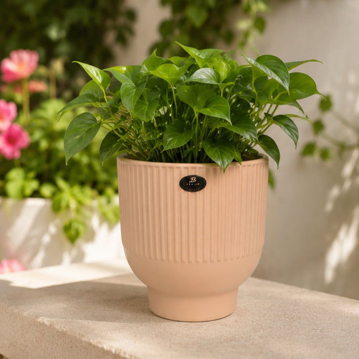 Pink  fluted ceramic pots for real plants