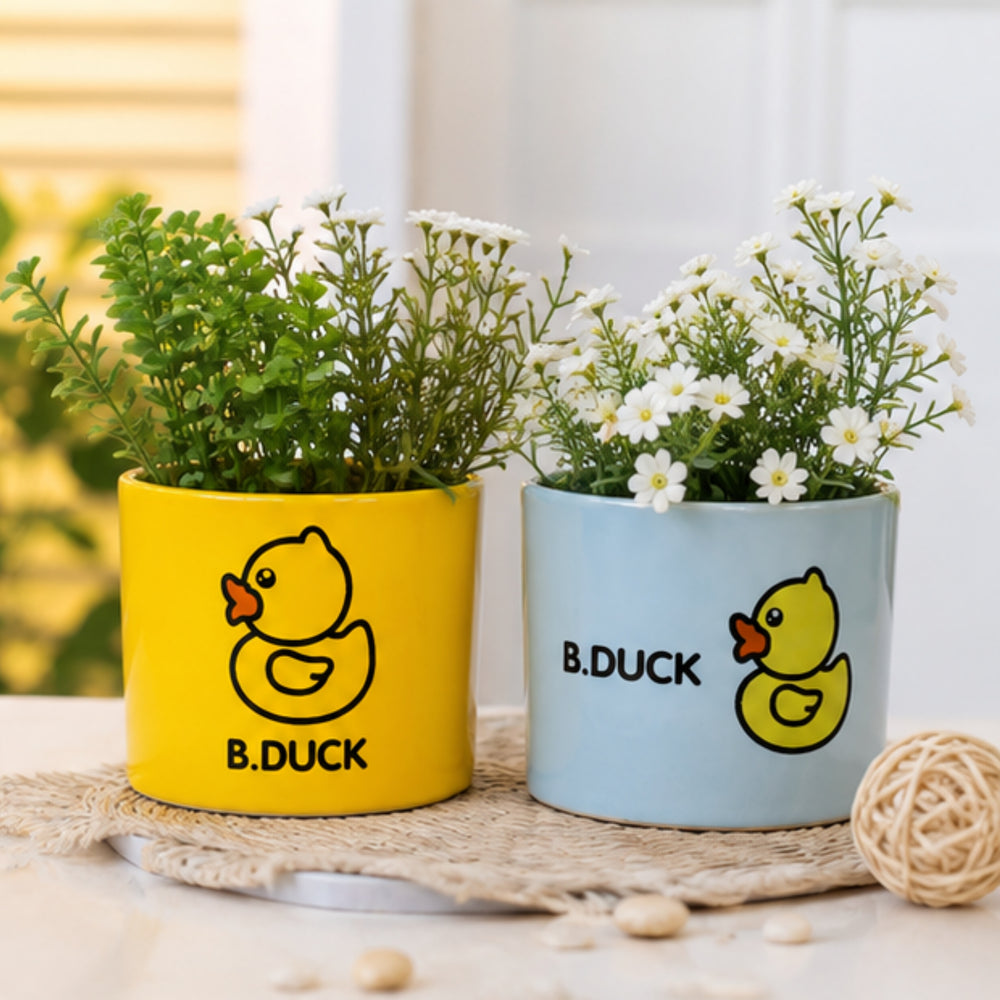 Ceramic Cute Ducks Print Pot For Garden Décor & Home décor -02