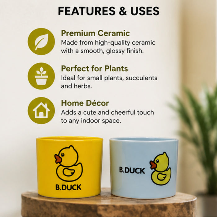 Ceramic Cute Ducks Print Pot For Garden Décor & Home décor -02