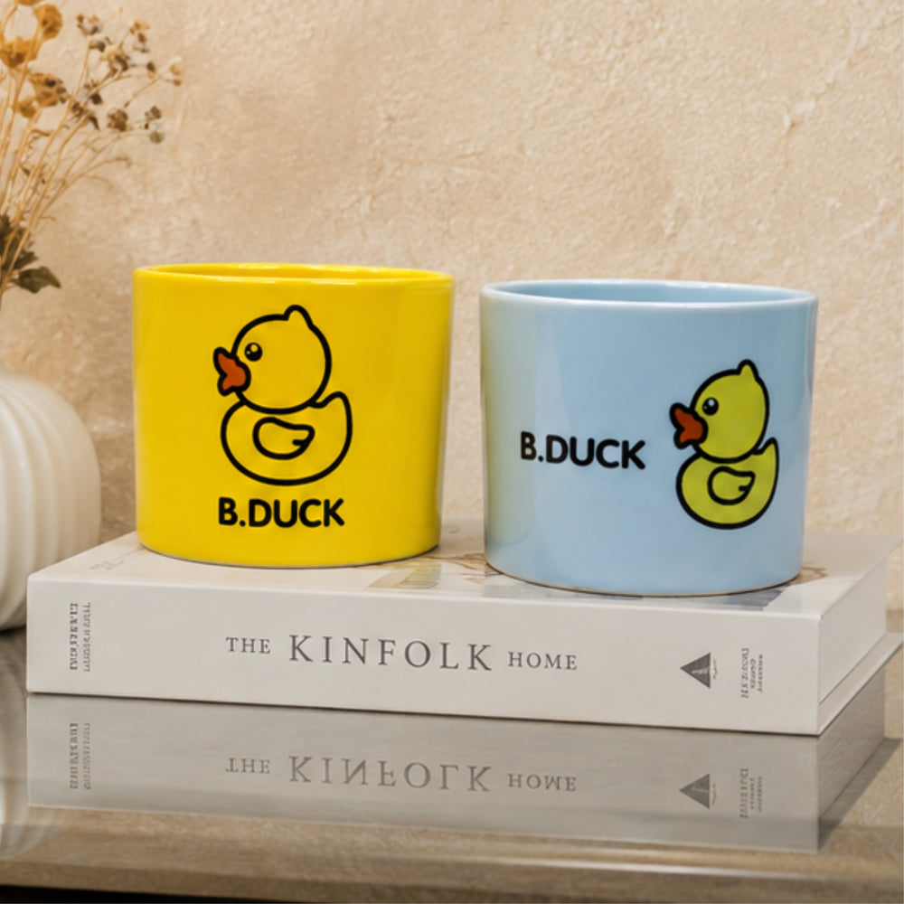 Ceramic Cute Ducks Print Pot For Garden Décor & Home décor -02