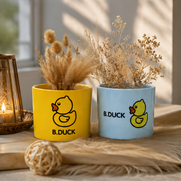 Ceramic Cute Ducks Print Pot For Garden Décor & Home décor -02